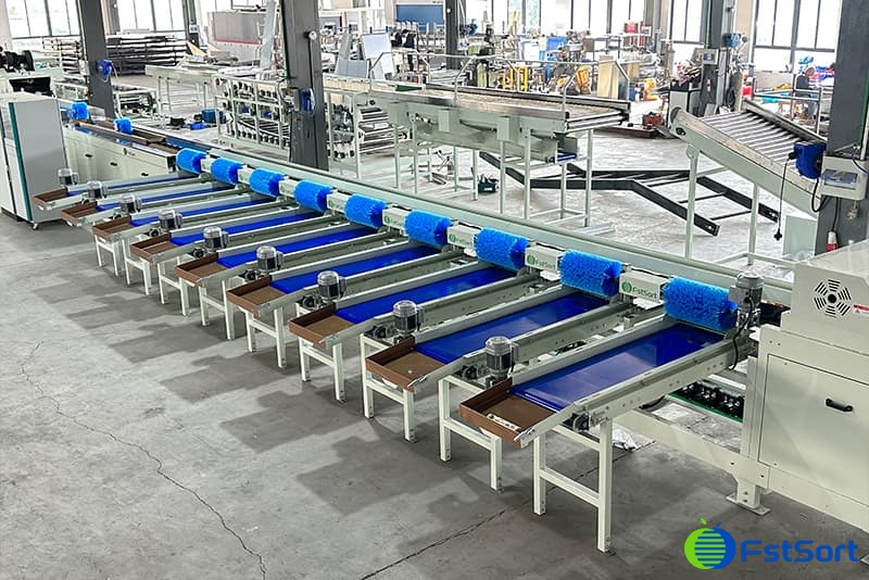 mango sorting packing machine.jpg mango sorting packing machine.jpg